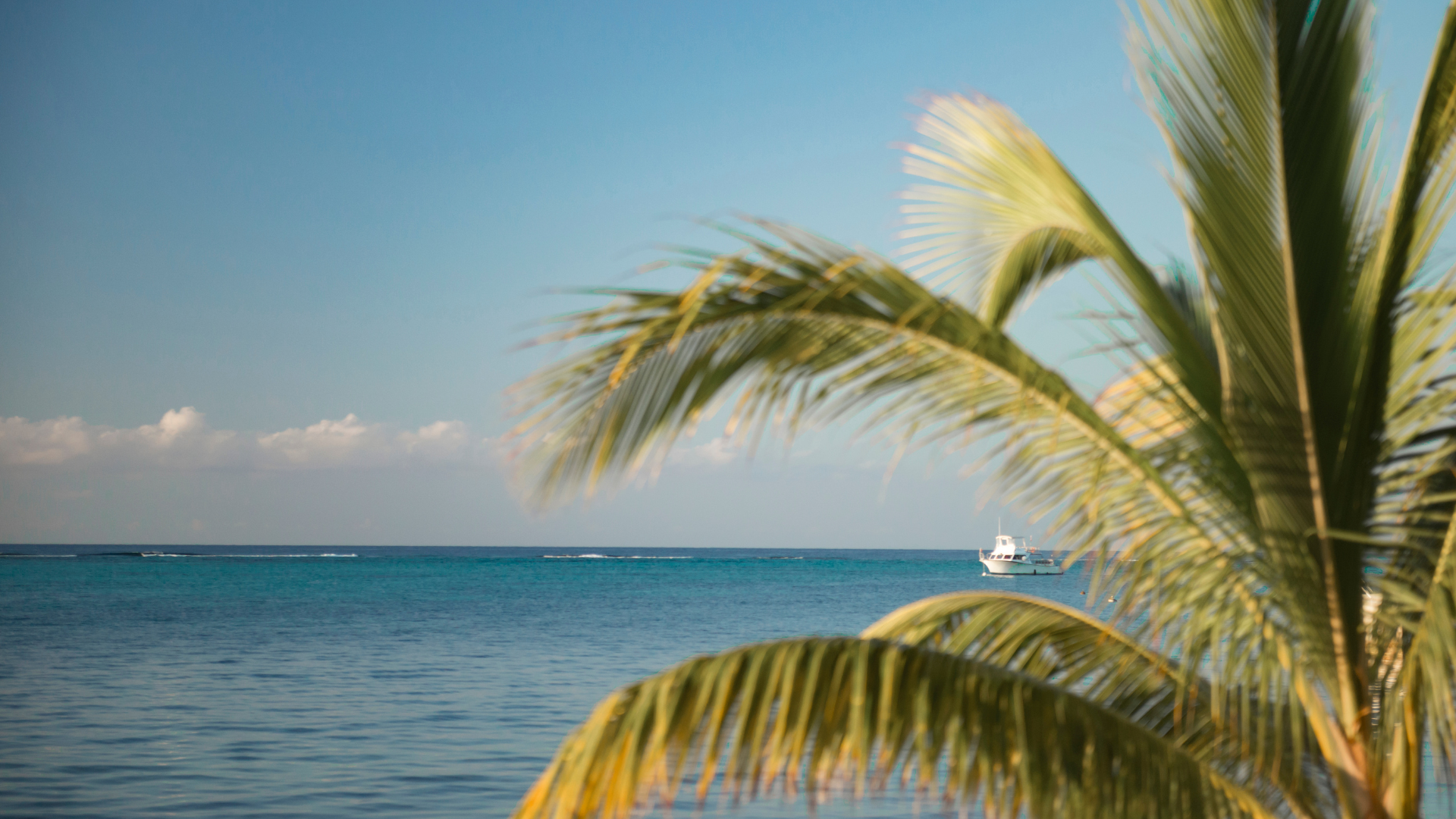 The Cayman Islands Quiet Bid to Become Crypto's Default Jurisdiction